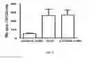 Fig. 06 - Vectors for expression of prostate-associated antigens