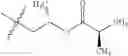 Fig. 112 - Protein-polymer-drug conjugates
