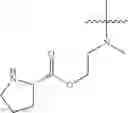 Fig. 136 - Protein-polymer-drug conjugates