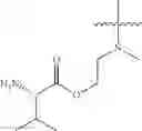 Fig. 137 - Protein-polymer-drug conjugates