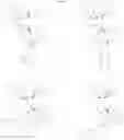 Fig. 211 - Protein-polymer-drug conjugates