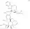 Fig. 28 - Protein-polymer-drug conjugates