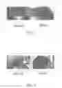 Fig. 05 - Composition for promoting hair growth