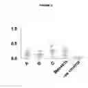 Fig. 02 - ADJUVANTED FORMULATIONS OF PEDIATRIC ANTIGENS