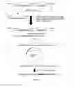 Fig. 07 - Attenuated vaccines and methods of making and use thereof