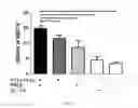 Fig. 04 - METHOD FOR THE PREPARATION OF DENDRITIC CELL VACCINES