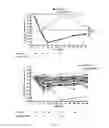 Fig. 07 - METHOD FOR THE PREPARATION OF DENDRITIC CELL VACCINES
