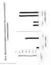 Fig. 03 - BIOMARKER