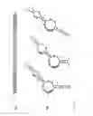 Fig. 04 - Transferrin receptor aptamers and aptamer-targeted delivery