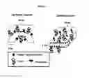 Fig. 02 - Orally bioavailable lipid-based constructs