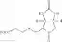 Fig. 46 - Orally bioavailable lipid-based constructs