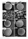 Fig. 01 - Active self-healing biomaterial system