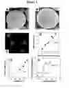 Fig. 02 - Active self-healing biomaterial system