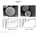 Fig. 04 - Active self-healing biomaterial system