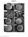 Fig. 08 - Active self-healing biomaterial system