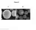 Fig. 10 - Active self-healing biomaterial system