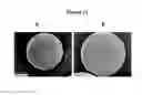 Fig. 12 - Active self-healing biomaterial system