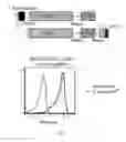 Fig. 04 - Methods and compositions for sustained immunotherapy