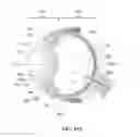 Fig. 20 - Compositions and methods for ophthalmic and/or other applications