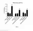 Fig. 03 - COMBINATION THERAPY FOR TREATING PULMONARY HYPERTENSION
