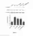 Fig. 11 - COMBINATION THERAPY FOR TREATING PULMONARY HYPERTENSION