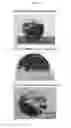 Fig. 03 - Method for preparing granules or pills containing extracts in high concentration