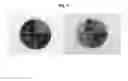 Fig. 05 - Method for preparing granules or pills containing extracts in high concentration