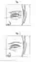 Fig. 02 - Method of Identifying Cosmetic Agents For Treating Periorbital Dyschromia and Systems Therefor