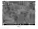 Fig. 05 - Self-lubricating surfaces for food packaging and food processing equipment