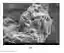Fig. 08 - Self-lubricating surfaces for food packaging and food processing equipment