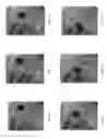 Fig. 09 - Self-lubricating surfaces for food packaging and food processing equipment