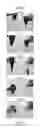 Fig. 14 - Self-lubricating surfaces for food packaging and food processing equipment