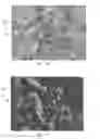 Fig. 07 - Spray Application Process for Three Dimensional Articles
