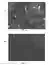 Fig. 08 - Spray Application Process for Three Dimensional Articles