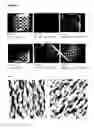 Fig. 09 - TOPOLOGICALLY STRUCTURED POLYMER COATING