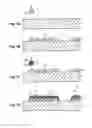 Fig. 02 - Production method of recording material, and recording material