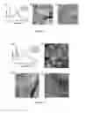 Fig. 03 - Nanostructured organic materials and a process for the preparation thereof