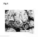 Fig. 06 - Method for manufacturing Sr ferrite particle for sintered magnet, method for using Sr ferrite particle, Sr ferrite sintered magnet and method for manufacturing same, and motor and generator