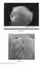 Fig. 04 - Method of making silicon anode material for rechargeable cells