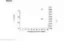 Fig. 12 - Photopolymer formulations having the adjustable mechanical modulus G