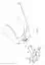 Fig. 07 - DUAL HEAD CONNECTOR