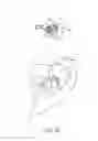 Fig. 40 - SPRING CLIP MOUNTED TO WITHDRAWABLE ARTIFICIAL TOOTH AND REMOVABLE ARTIFICIAL TOOTH ASSEMBLED WITH SAME