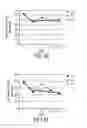 Fig. 09 - Dual inducible vectors and cell lines