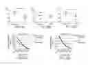 Fig. 32 - Dual inducible vectors and cell lines