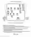 Fig. 43 - Dual inducible vectors and cell lines