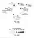 Fig. 47 - Dual inducible vectors and cell lines