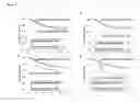 Fig. 06 - METHOD FOR SELECTING DONORS AND RECIPIENTS FOR TRANSPLANTATION