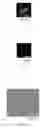 Fig. 22 - Biodegradable Layer-by-Layer (LbL) Films for Cell Capture and Release