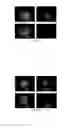Fig. 24 - Biodegradable Layer-by-Layer (LbL) Films for Cell Capture and Release