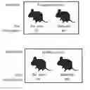Fig. 01 - METHOD OF ISOLATING AND CHARACTERIZING MICROORGANISMS THAT ARE TARGETS OF HOST IMMUNE RESPONSES